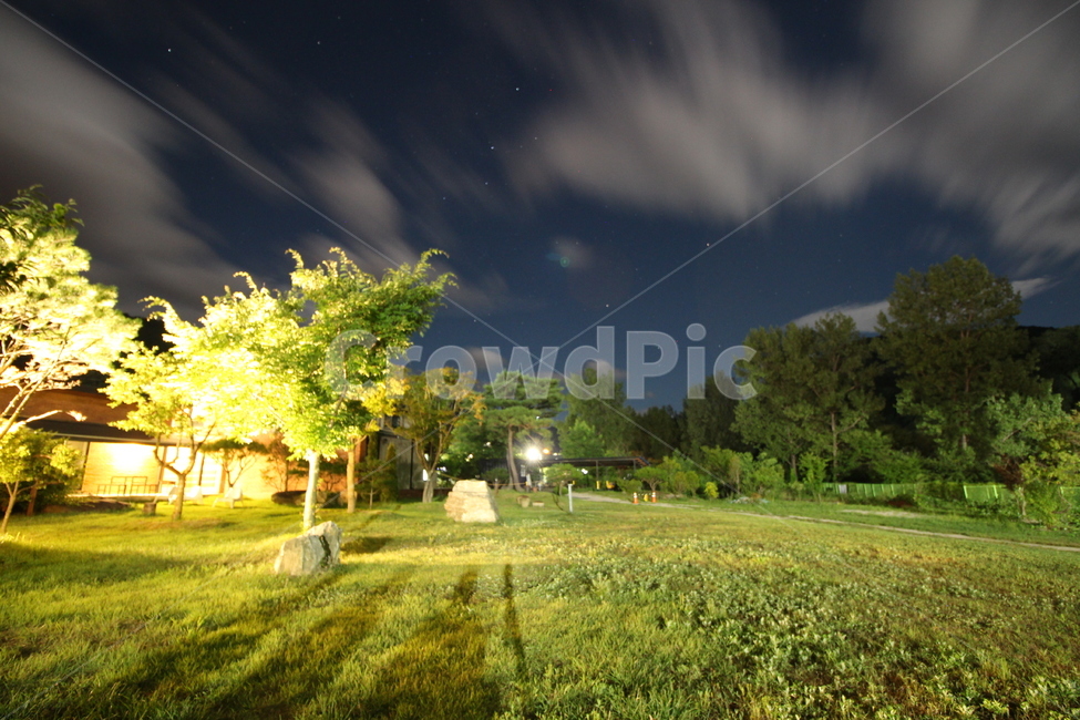 야경,별,풍경,나무,숲,구름,하늘,별사진,은하수,자연,풍경,nature,landscape,야경,밤,nightscape,night,grass,잔디,plant,식물
