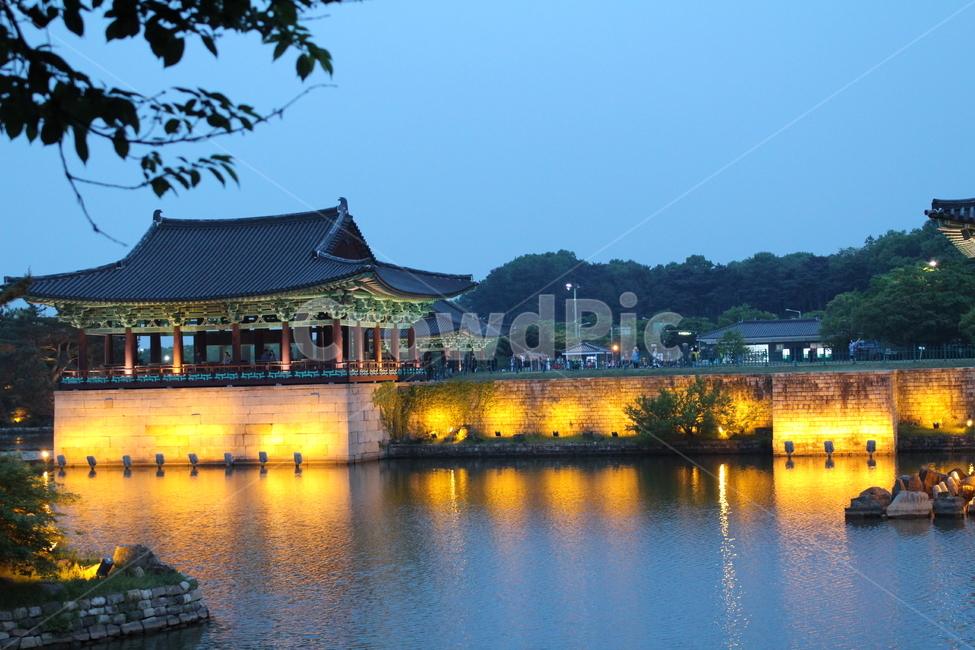 건축물,architecture,경주,전통,안압지,건물,한국,korea,야경
