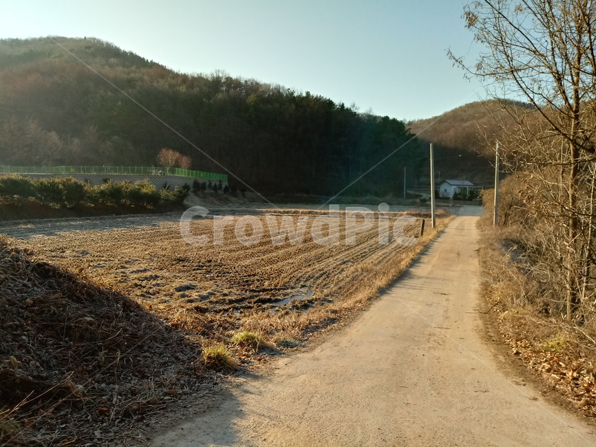 길,도로,산책로,흙길,옥외,자연,path,road,통로