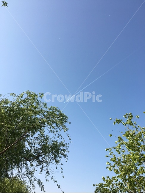 nature,자연,하늘,나무,풍경,sky,tree,scenery