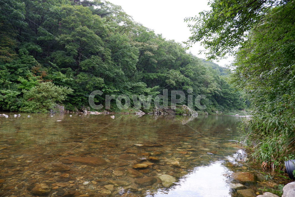 water,물,nature,자연,outdoors,옥외,계곡,자연,풍경,nature,landscape