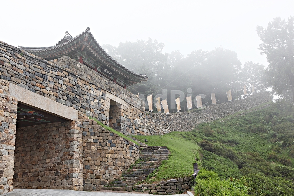 공주산성,성,산성,성곽,길,둘레길,숲,숲길,담,돌담,여름,풍경,벽,방어벽,흙담,나무,식물,유네스코등제