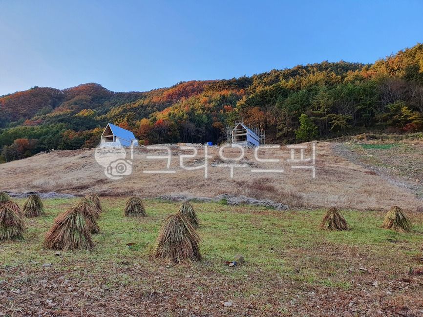 Gangwondo,Field,nature,pension,tree house,wooden house,Framing
