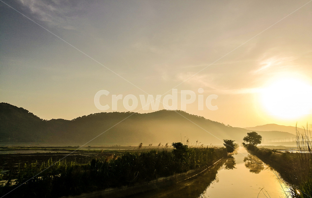 봉하마을,일출,내천,흑백사진,풍경,자연,풍경,nature,landscape,한국자연풍경,한국자연경관,korea nature landscape,light,빛,flare,플레어,outdoors,옥외