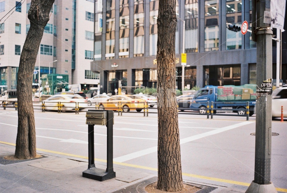 도로,나무,도시,풍경,배경,도시,풍경,city,landscape