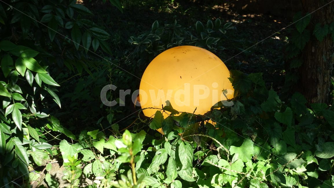 전등,풀,grass,달,yellow,빛,sphere,구체