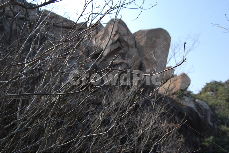 화왕산,창녕화왕산성,비들재,등산로,능선,치유,여행,돌,산행,힐링,자연,동행,등산,계절,한국,한국명산,한국등산,풍경,나무,하늘,바람,땅,자연,풍경,nature,landscape,한국자연풍경,한국자연경관,korea nature landscape