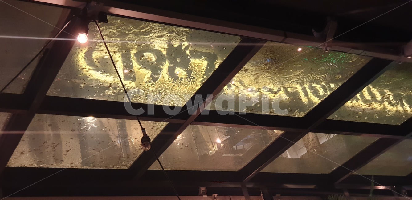 분위기,디너,반짝반짝,펍,pub,조명,lighting,구체,렌즈,레스토랑,인테리어,실내디자인,실내인테리어,건축,실내,네온,네온사인