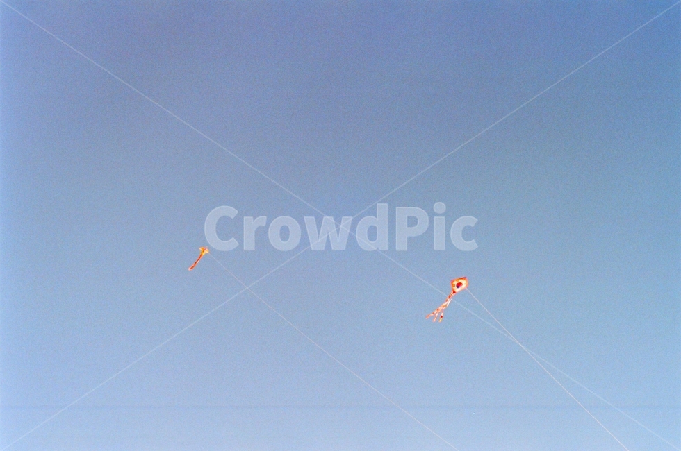 하늘,연,전통,한국전통,sky,kite,tradition,korea,peaceful