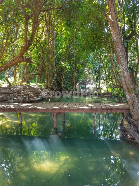 라오스,루앙프라방,꽝시폭포,푸른빛,햇살,숲,나무,다리,자연,laos,luangprabang,kuangsiwaterfall,nature,tree,라오스명소