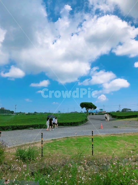 nature,자연,outdoors,person,human,jeju,제주도