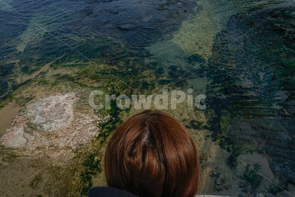 바다,sea,자연,해조류,물풀