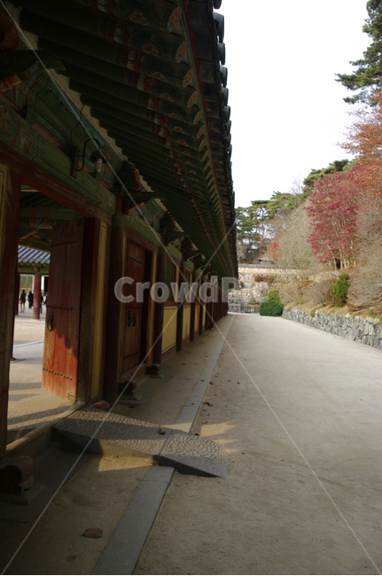 경주,건축,불국사,사찰,단청,traditional,전통,한국전통,한국문화,korean traditional,korean culture,건축물,건물외관,exterior,building,structure,architecture,construction