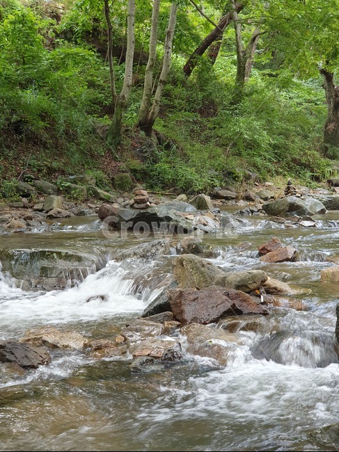 계곡,시냇물,숲속,자연,여름,시원한,물,creek,stream,옥외,흐름,물결,nature,자연,풍경,nature,landscape,water,작은 만,outdoors