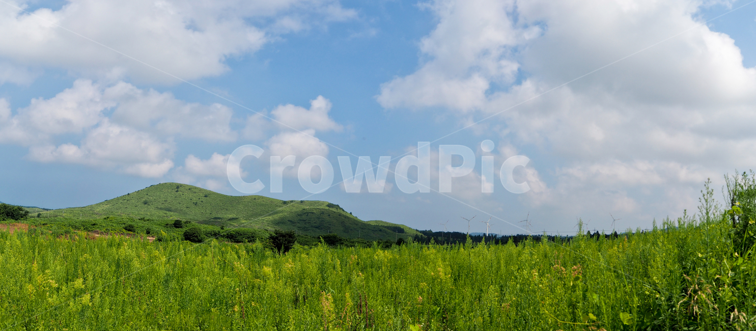 제주도,자연,풍경,jejuisland,jeju,오름,용눈이오름,풀,하늘,구름,oreum,grass,sky,cloud,자연,풍경,nature,landscape,제주도,jeju,jeju island,field,들,grassland,목초지,outdoors,옥외