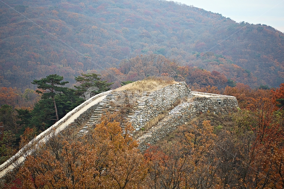 남한산성,성,성곽,단풍,낙엽,길,둘레길,숲,숲길,담,돌담,가을,자연,풍경,벽,울긋불긋,산성,식물,가을,계절,fall,autumn,season
