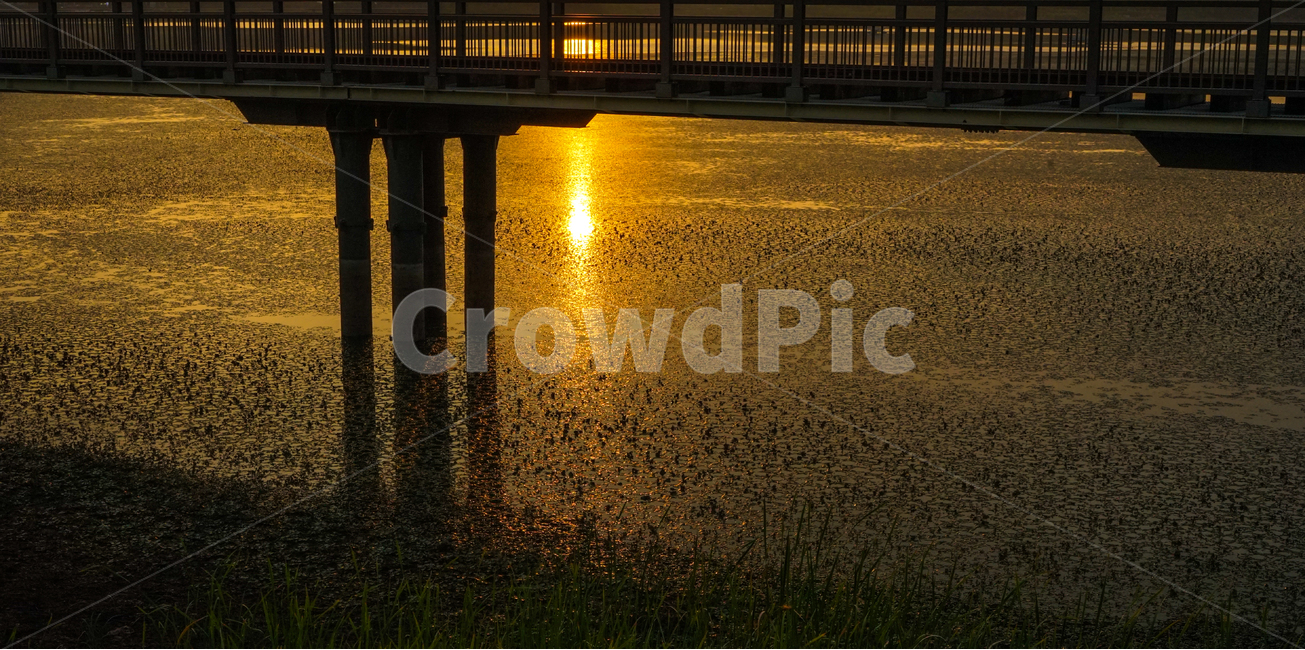 다리,석양,해넘이,반영,노을,석양빛,호수,자연,풍경,nature,landscape,water,물,waterfront,워터 프론트