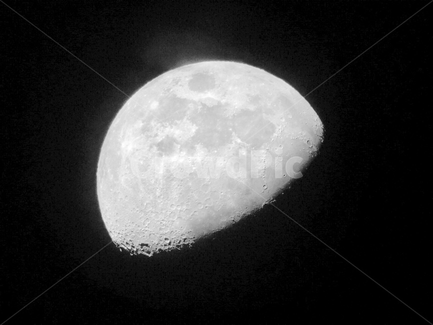 달,밤하늘,하현달,하늘,halfmoon,자연,자연,풍경,nature,landscape,outer space,대기권 밖,space,우주,astronomy,천문학,universe,outdoors,옥외,moon,night,밤