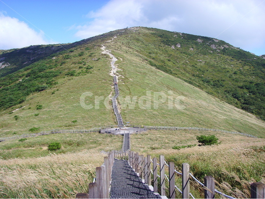 산,가을,가을산,구름,청명한하늘,파란하늘,영남알프스,산사진,신불산,간월산,영축산,가지산,갈대,갈대축제,자연,풍경,nature,landscape,한국자연풍경,한국자연경관,korea nature landscape,outdoors,옥외,field,들,grassland,목초지
