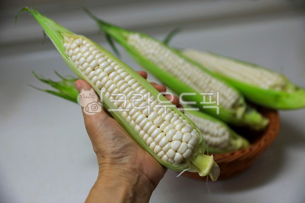 human hand,corrosion,waxy corn,corn,snack,college corn,bowl,cone,food,corn kernels,corner,corn husk,whitening corn,grain