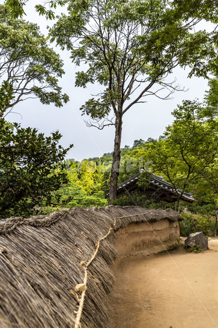 초가지붕,초가담장,전통담장,한국민속촌,전통가옥,문화유산,한국전통,한국문화,korean traditional,korean culture