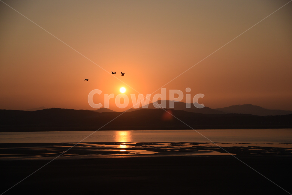 노을,철새,풍경,해질녁,석양,겨울,태양,sunset,seasonbird,landscape,bird,자연,풍경,nature,landscape,한국자연풍경,한국자연경관,korea nature landscape,sunlight,햇빛,red sky,붉은 하늘,outdoors,옥외,sky,하늘,일몰,dawn,새벽,dusk,황혼,새,animal,동물