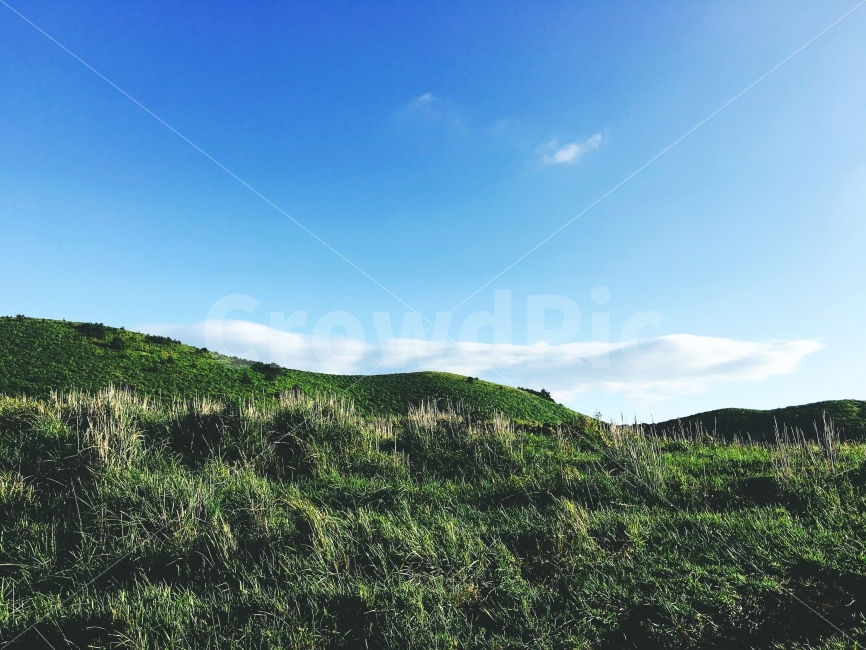 제주도,오름,용눈이오름,하늘,초록,구름,풀,자연,힐링,휴식,풍경,sky,cloud,green,nature,healing,landscape,rest,감성,자연,풍경,nature,landscape,한국자연풍경,한국자연경관,korea nature landscape,제주도,jeju,jeju island,outdoors,옥외,vegetation,초목,plant,식물,tree,나무