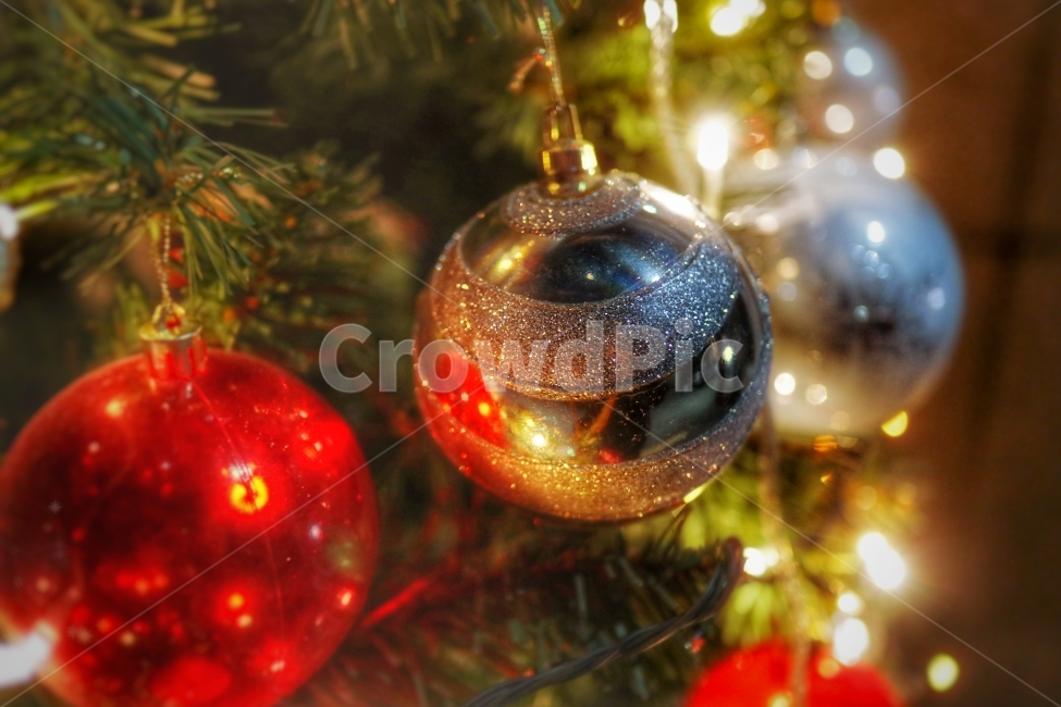 크리스마스,크리스마스장식,트리,성탄절,christmas,겨울,winter,빛,색깔,color,은색,christmastree,christmastime,반짝거림,반짝,겨울,계절,winter,season,기념일,축하,anniversary,congratulation,celebrate,celebration,메리크리스마스,성탄절,merry christmas,사물,물건,오브젝트,thing,object,matter