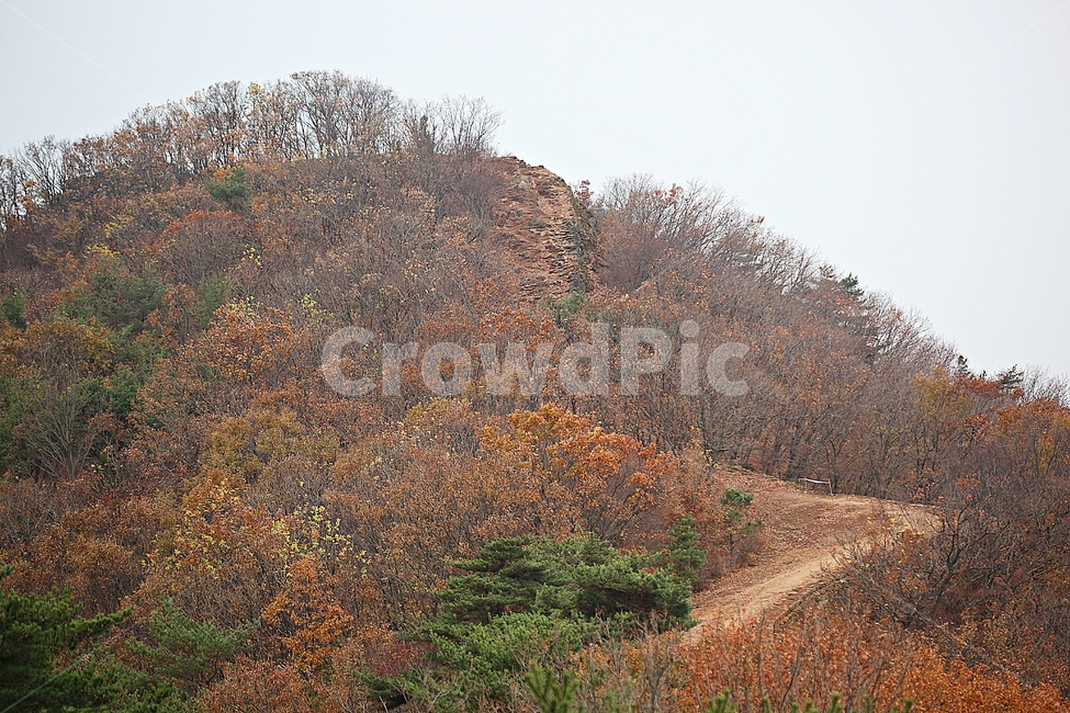전등사,산성,성,성곽,길,둘레길,숲,숲길,담,돌담,가을,자연,풍경,식물,벽,방어벽,낙엽,단풍,가을,계절,fall,autumn,season,자연,풍경,nature,landscape