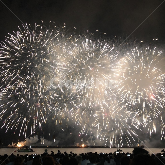 불꽃축제,불빛축제,폭죽,폭죽놀이,불꽃
