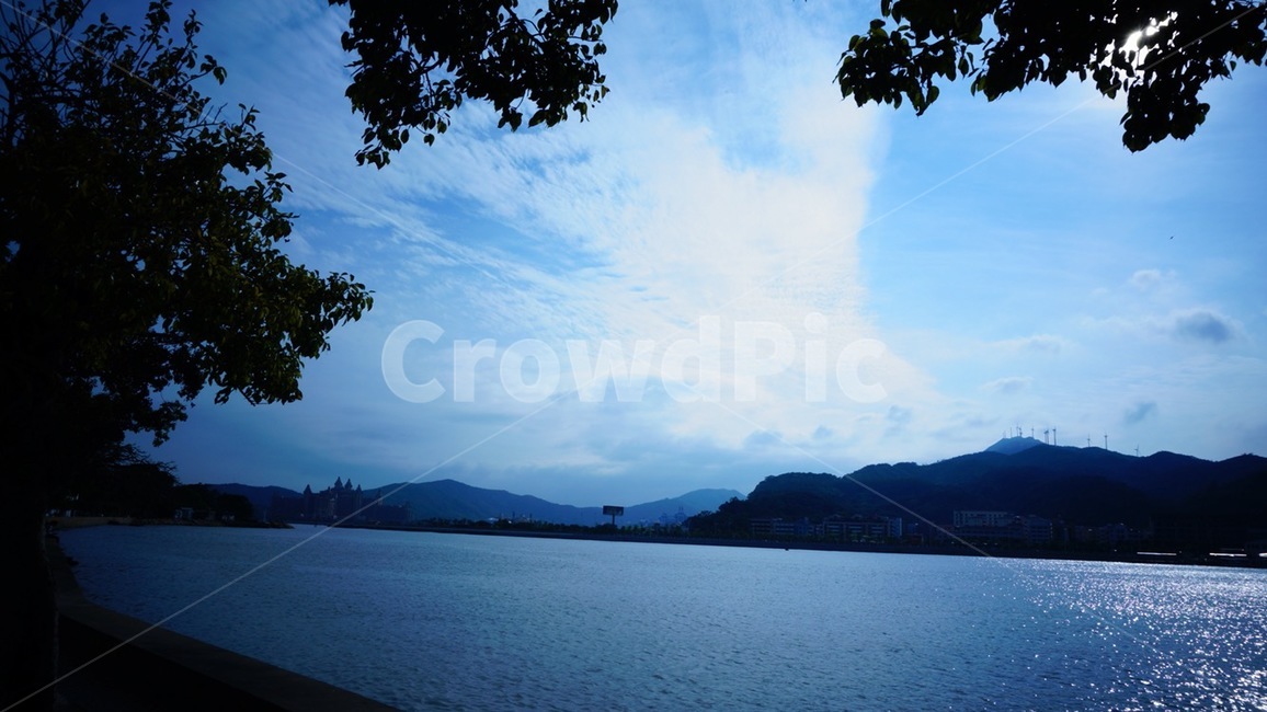 nature,자연,풍경,강,나무