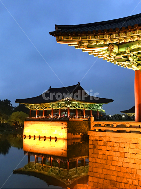 경주,동궁,안압지,야경,건축물,야경,밤,풍경,nightscape,night,landscape,랜드마크,landmark,tourist attraction,한국랜드마크,한국관광지,한국명소,korea landmark,korea tourist attraction,building,건물,architecture,worship,예배,shrine,신사,pagoda,탑
