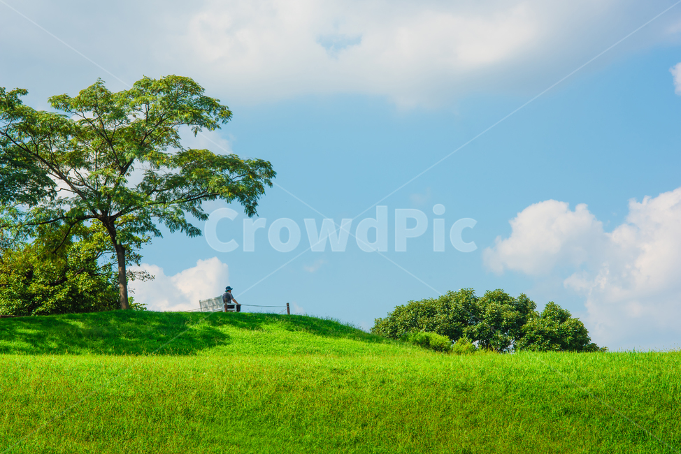 올림픽공원,서울,봄,녹색,나무,잔디,하늘,구름,자연,풍경,nature,landscape