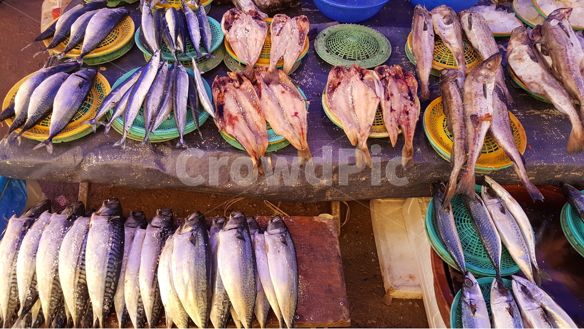 생선,5일장,좌판,시장,풍경,시장,마트,마켓,market,mart,market place,음식,식재료,요리,food,cook,meal,dishes,food reserves,수산물,해산물,fishery products,seafood