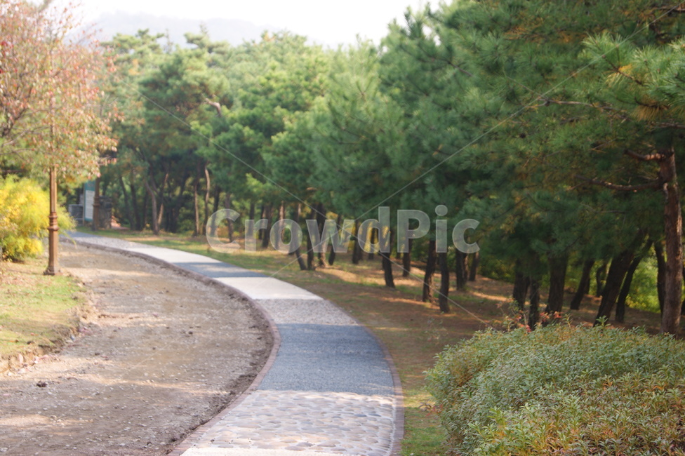 자연,풍경,landscape,nature,휴식,rest,season,산책로,숲길,산책,공원,나무,가을,계절