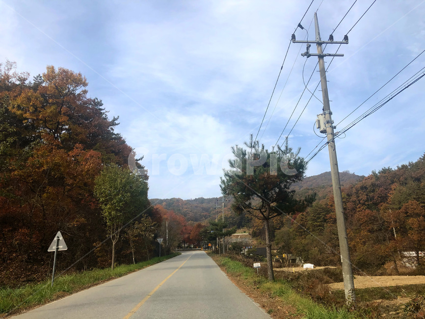 가을,단풍,길,시골길,road,도로,하늘,outdoor