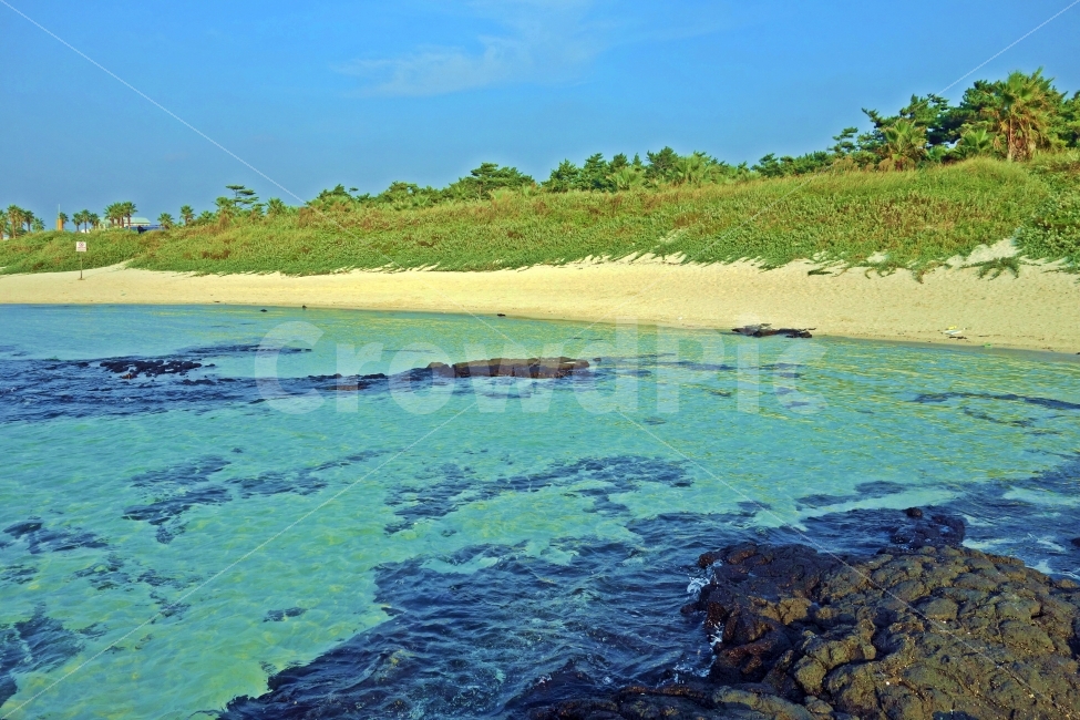제주도,금능으뜸원해변,백사장,은색모래,에메랄드,흰모래,모래,흰,은색,현무암,푸른,나무,구름,하늘,자연,풍경,nature,landscape,해변,바다,beach,sea,제주도,jeju,jeju island,outdoors,옥외,land,땅,water,물,ocean,대양,shoreline,해안선