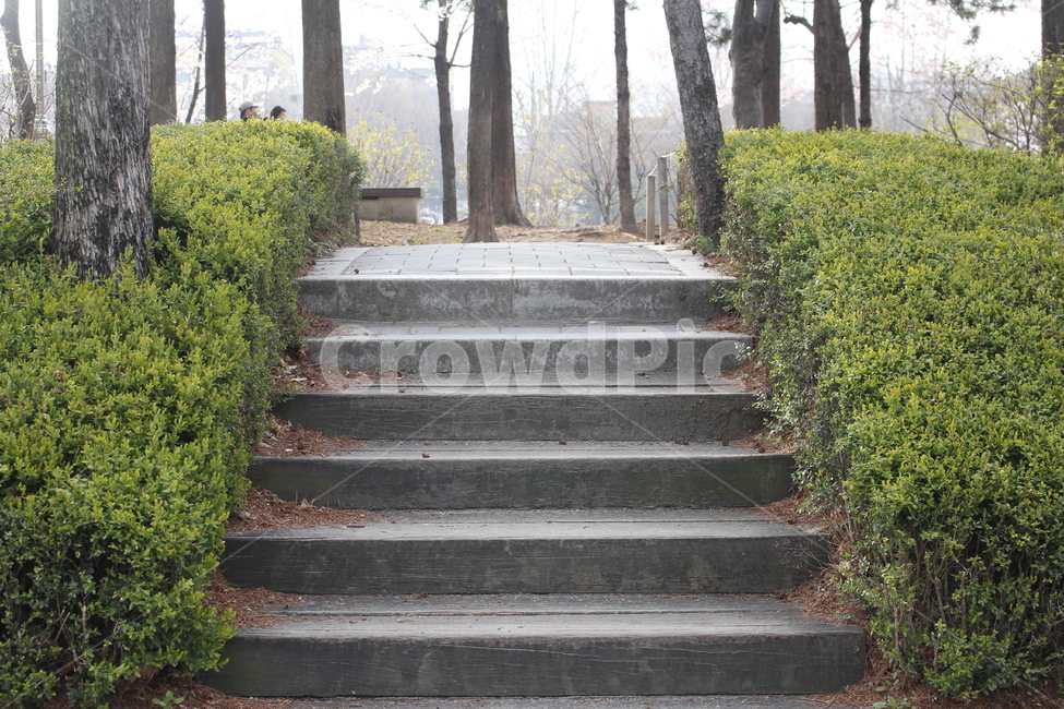 trail,Entrance,beginning,stairs,uphill stairs,park,Park entrance