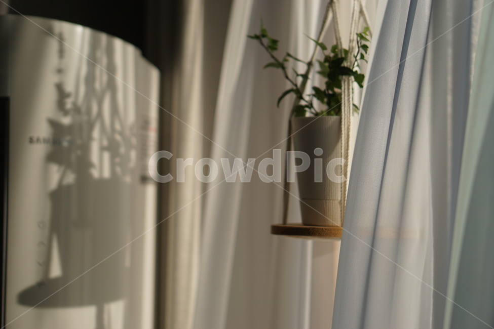 플랜테리어,다육이,plants,homedecor,가정장식,vase,식물,plant,실내용화초,화분,화초,house plant