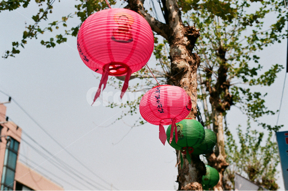 불교,부처님오신날,등불,불교사진,절,종교,신앙,religion,belief,faith,축제,행사,festival,carnival,event,기념일,축하,anniversary,congratulation,celebrate,celebration,감성,sensible,feeling