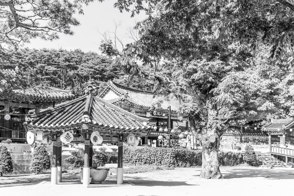기와,사찰,문화유산,전통유산,문화재,한국전통,한국문화,korean traditional,korean culture,종교,신앙,religion,belief,faith,흑백,모노톤,monochrome,black and white