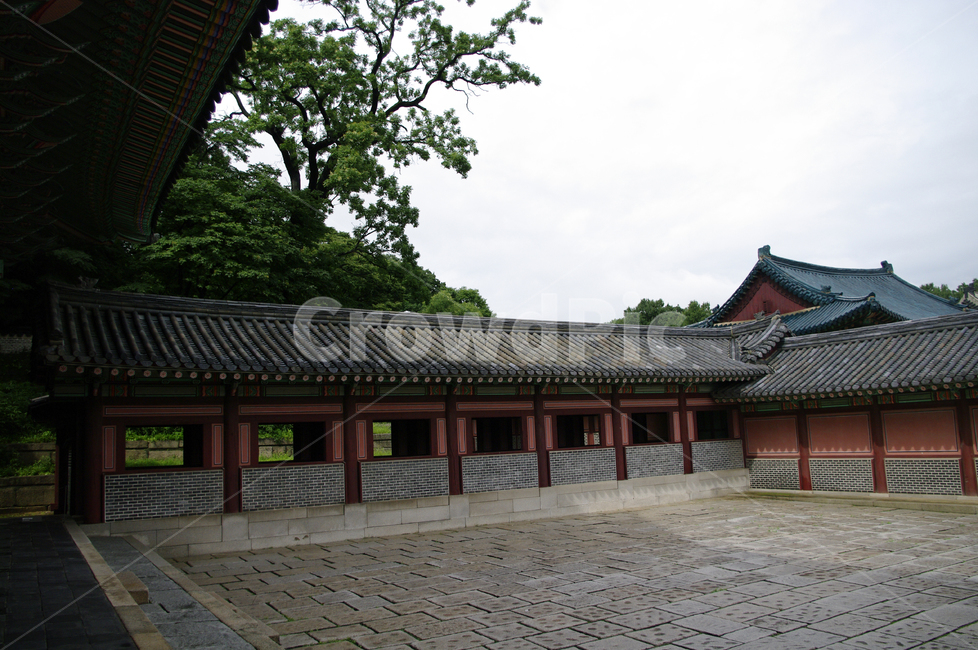 창덕궁,고궁,한옥,전통가옥,기와지붕,건축,traditional,한국전통,한국문화,korean traditional,korean culture,랜드마크,landmark,tourist attraction,한국랜드마크,한국관광지,한국명소,korea landmark,korea tourist attraction,건축물,건물외관,exterior,building,structure,architecture,construction