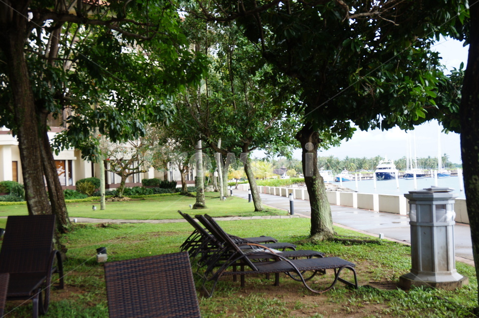 잔디,식물,bench,벤치,grass,식물,자연,plants,nature,나무,trees,wood