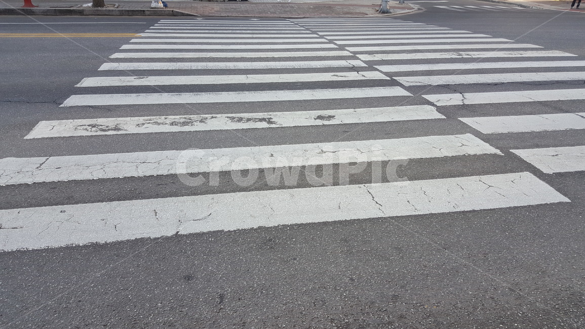 도로,차도,인도,횡단보도,안전,자동차,사람,교통,교통수단,traffic,transportation