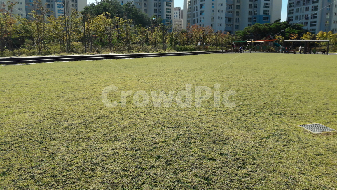 자연,마당,공원,나무,꽃,풀,도시,풍경,city,landscape,plant,식물,grass,잔디,lawn