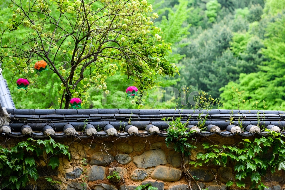 풍경,담벼락,나무,감성,연등,한국전통,한국문화,korean traditional,korean culture,건축물,건물외관,exterior,building,structure,architecture,construction