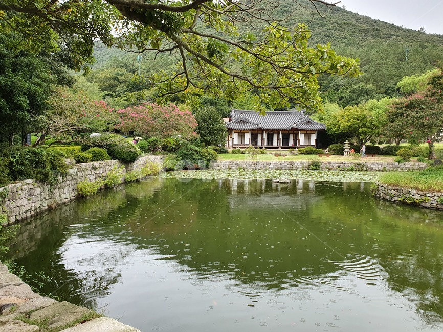 nature,자연,연못,물,운림산방,자연,풍경,nature,landscape,한국전통,한국문화,korean traditional,korean culture