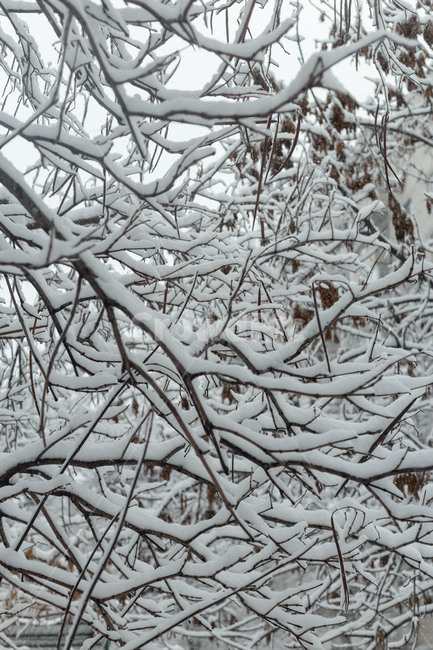 nature,자연,outdoors,옥외,ice,snow,눈,winter,겨울,겨울,계절,winter,season
