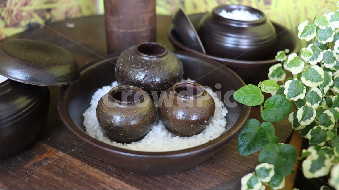 pottery,도기류,다육,다육이,항아리