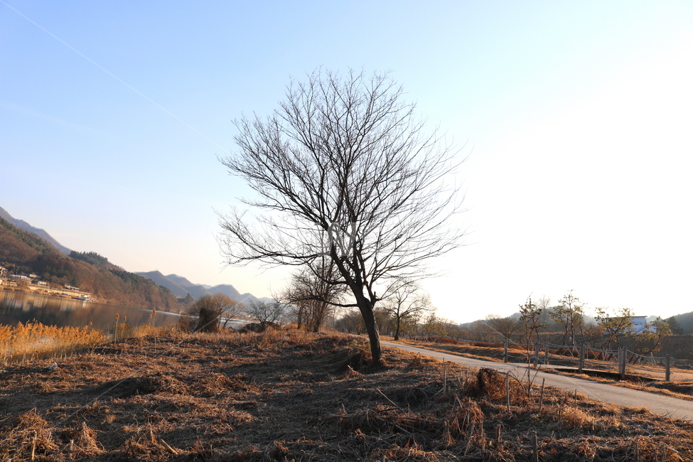 자연,풍경,겨울,나무,강,북한강,강물,물,산,가평,경기도,나뭇가지,산책길,길,도로,자연,풍경,nature,landscape,ground,바닥